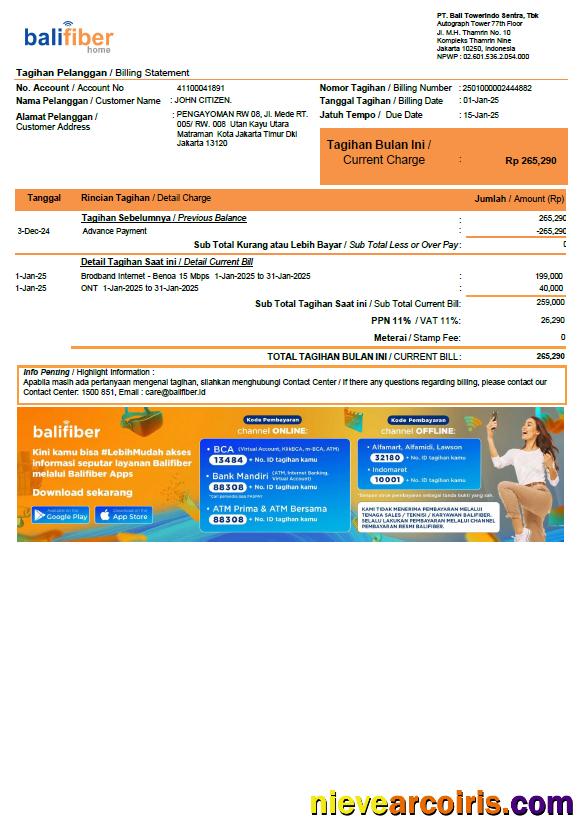 Indonesia Balifiber utility bill